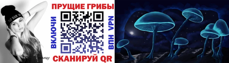 Галлюциногенные грибы Psilocybine cubensis  даркнет Telegram  Новая Ладога 