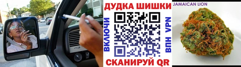 как найти наркотики кракен ССЫЛКА Канабис конопля Новая Ладога